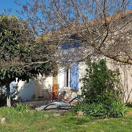 Petite Maison Refaite A Neuf Dans Mas Du 19Eme Siecle Arles Exterior photo