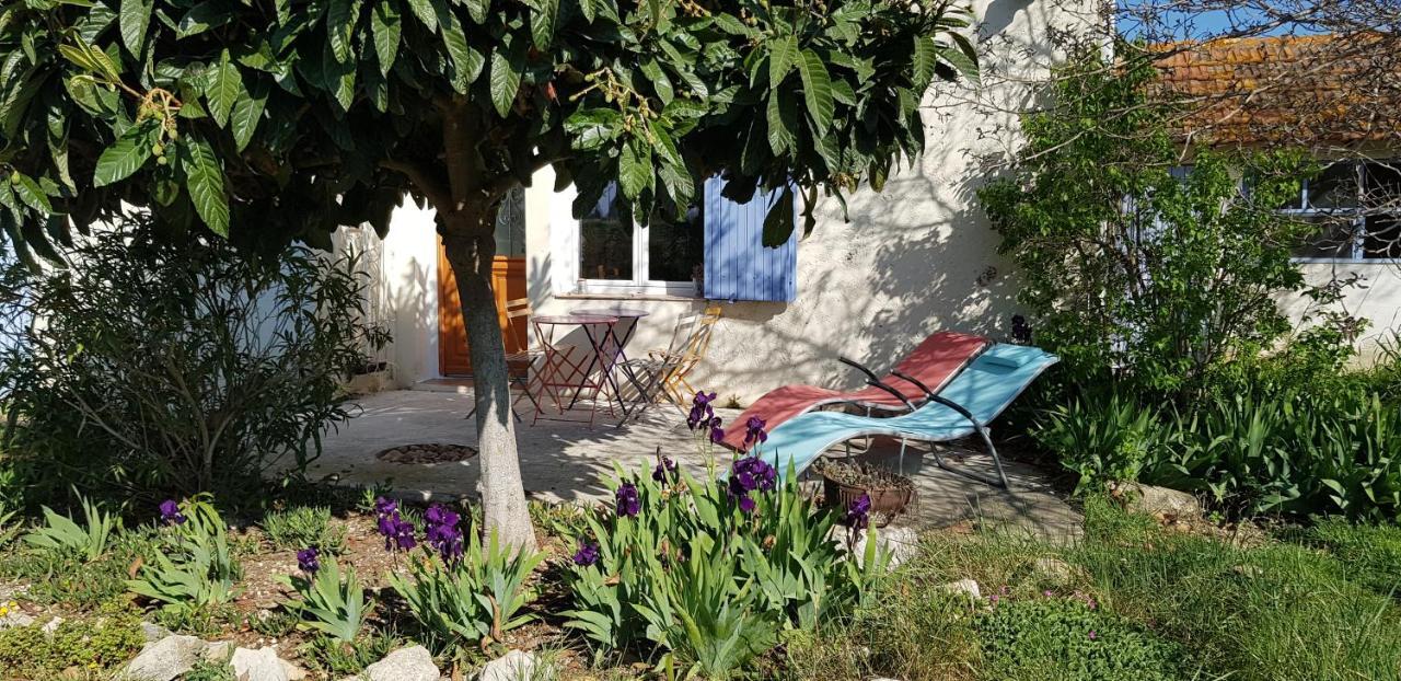 Petite Maison Refaite A Neuf Dans Mas Du 19Eme Siecle Arles Exterior photo