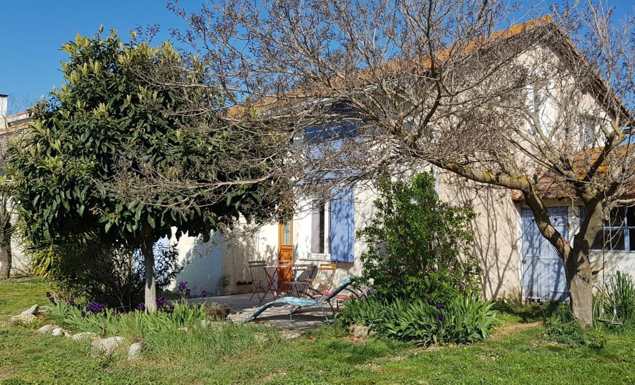 Petite Maison Refaite A Neuf Dans Mas Du 19Eme Siecle Arles Exterior photo